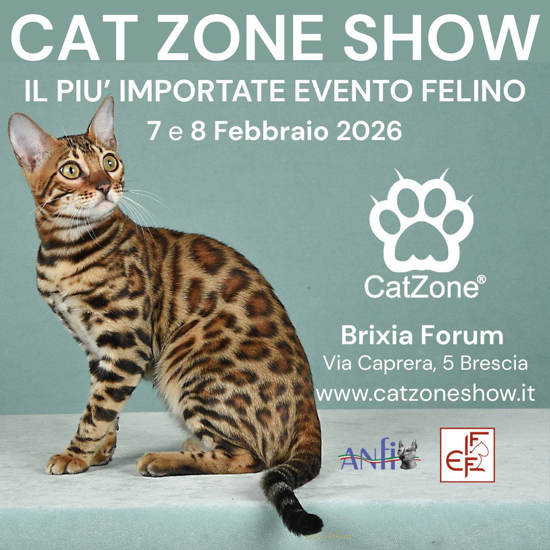 Elenco Beneficiari - Sito ufficiale Comune di Treviglio, image size:1080x1080